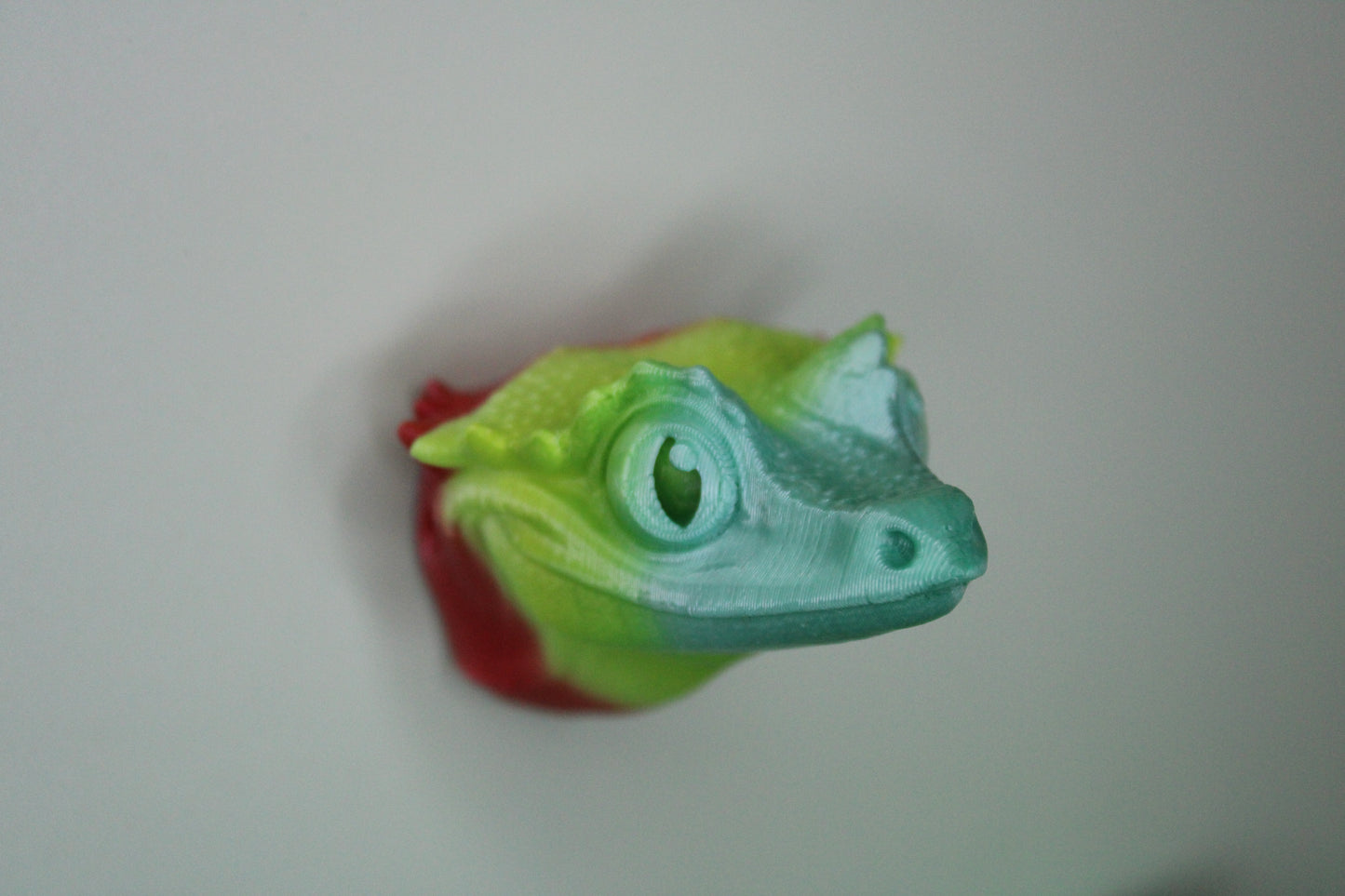 Magnet Crested Gecko
