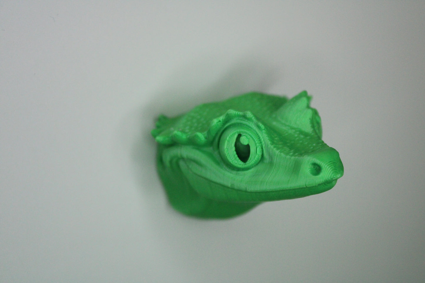 Magnet Crested Gecko