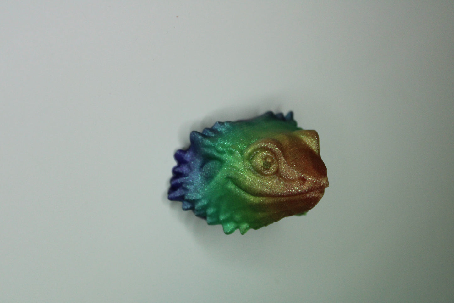 Magnet Bearded Dragon