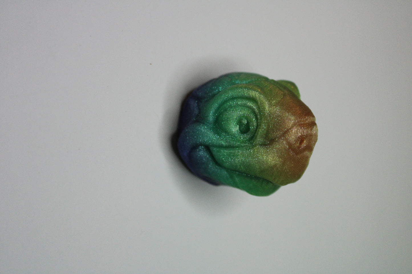 Magnet Tortoise Head