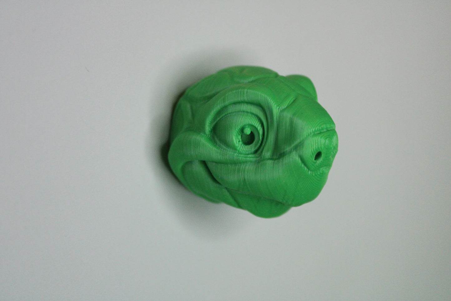 Magnet Tortoise Head