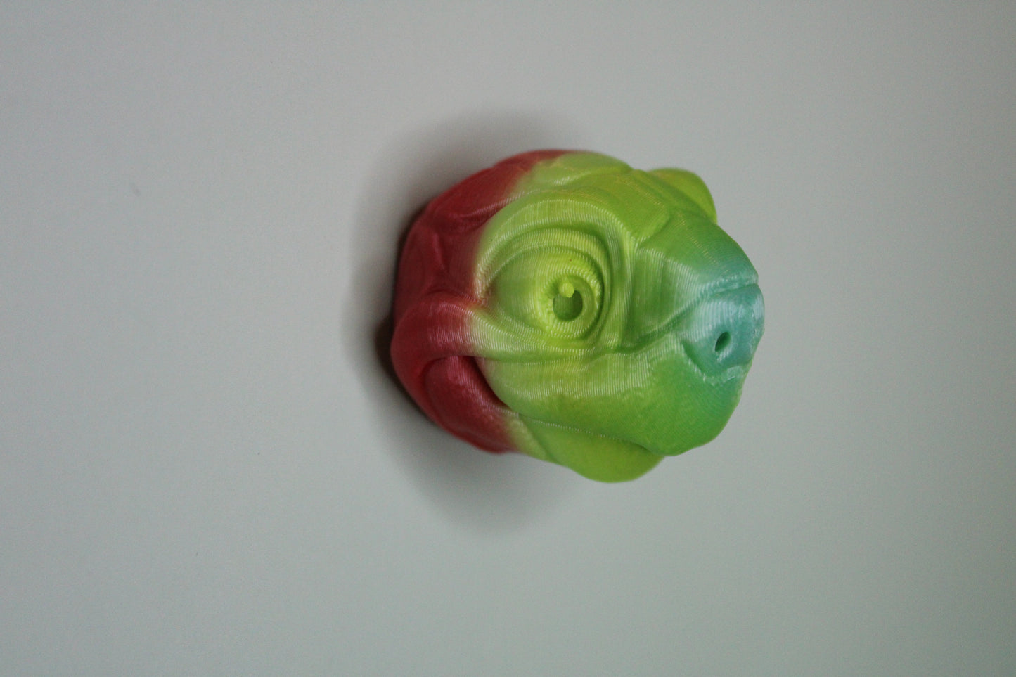 Magnet Tortoise Head