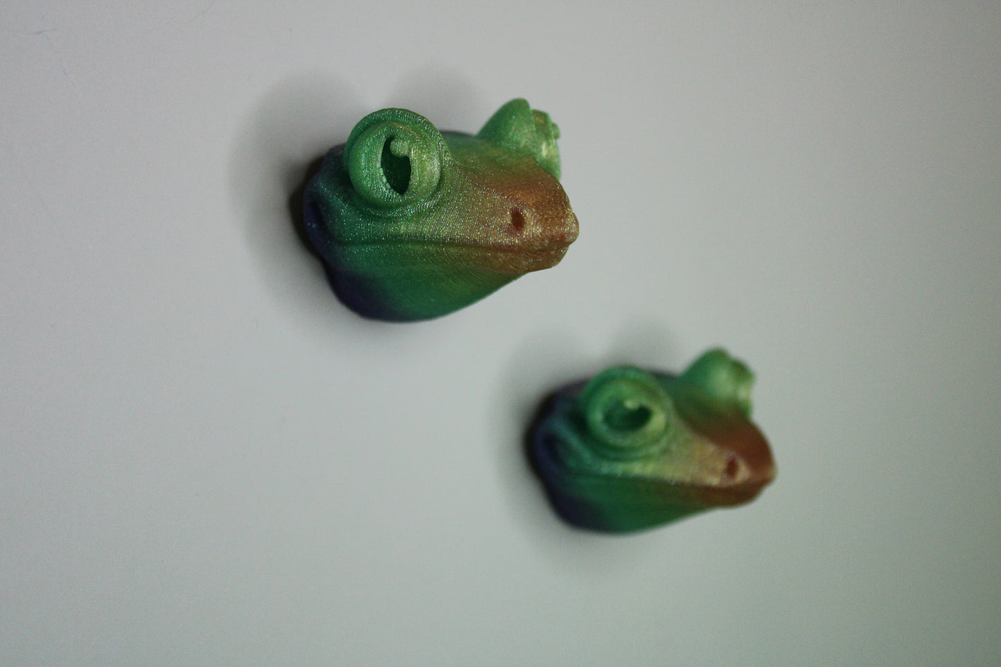 Magnet Tree Frog