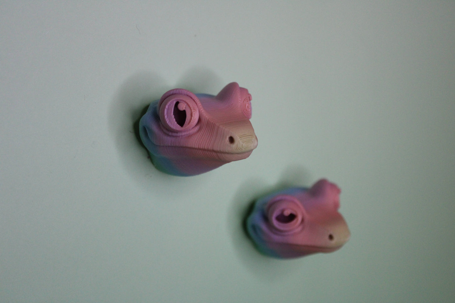 Magnet Tree Frog