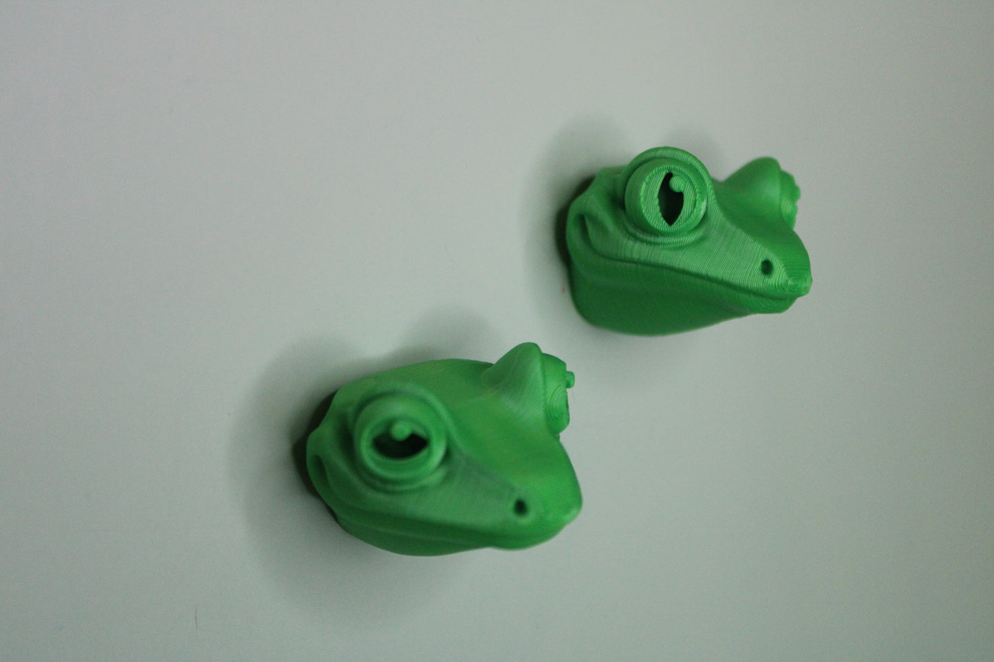 Magnet Tree Frog