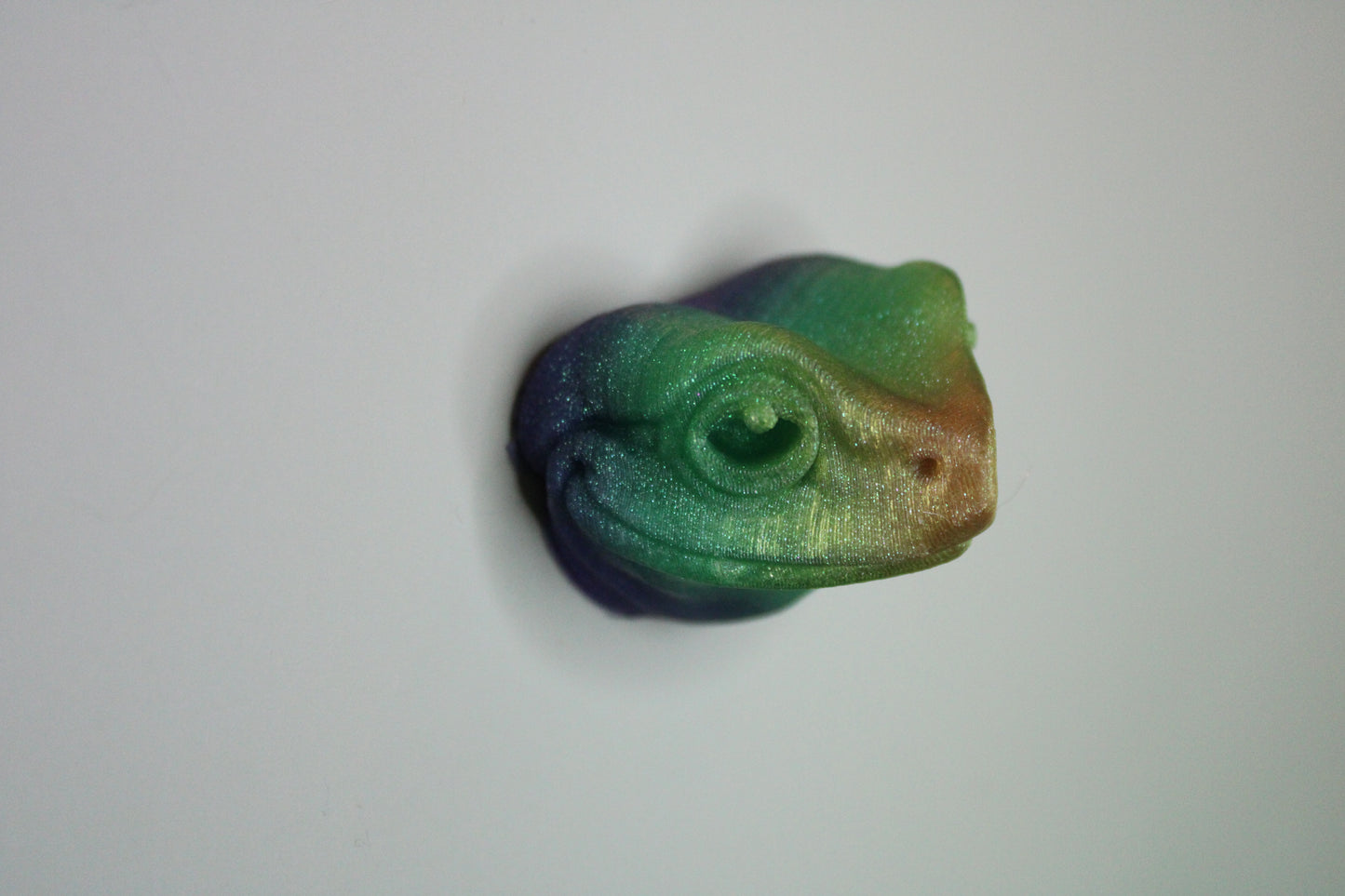 Magnet Tree Frog
