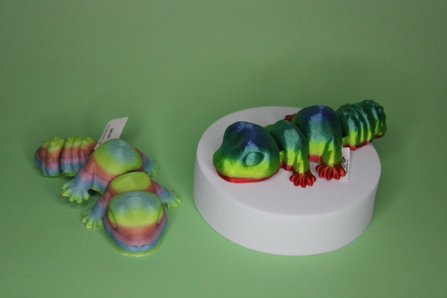 Fat Tailed Gecko Fidget