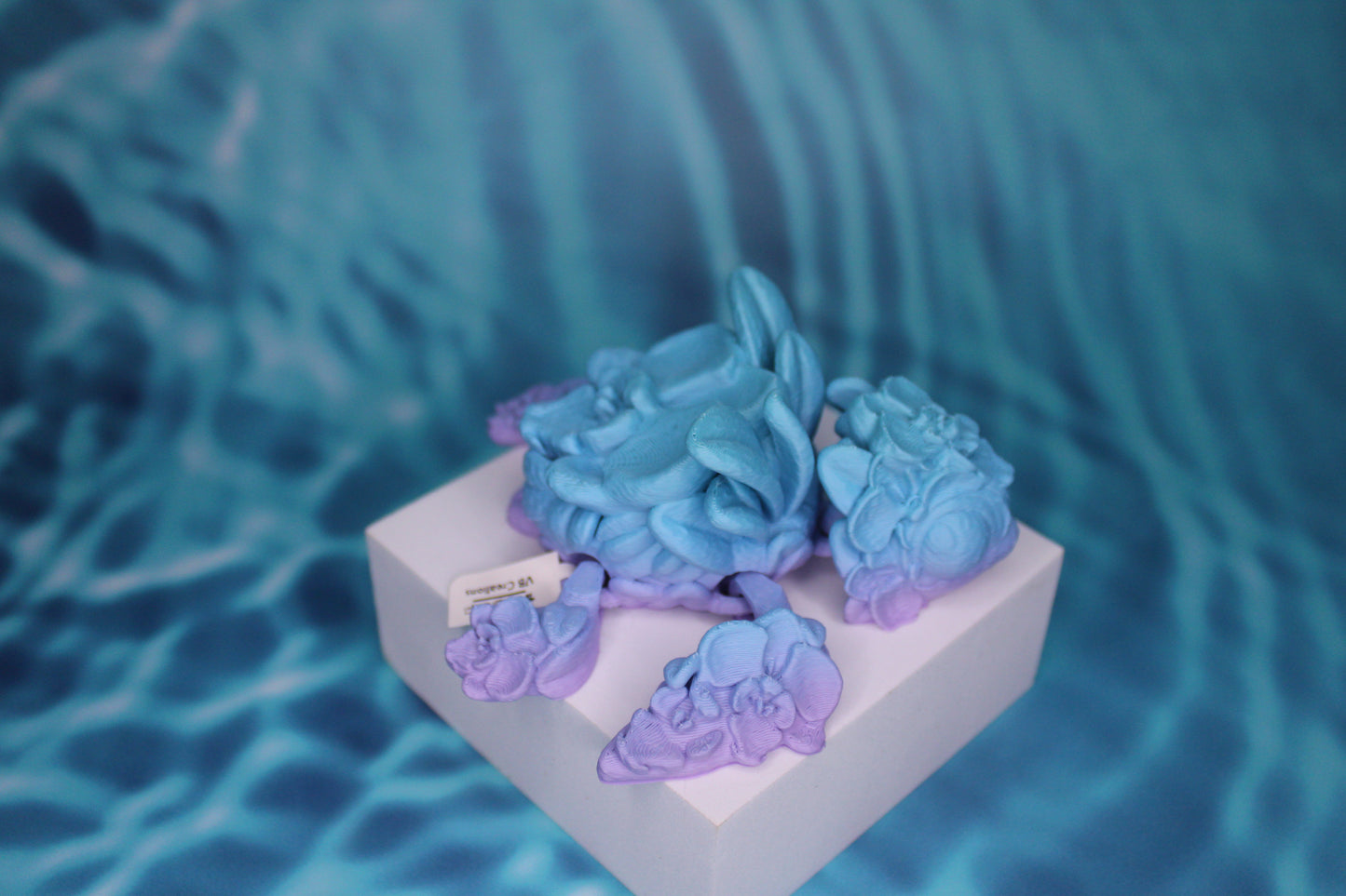 Orchid Turtle Fidget