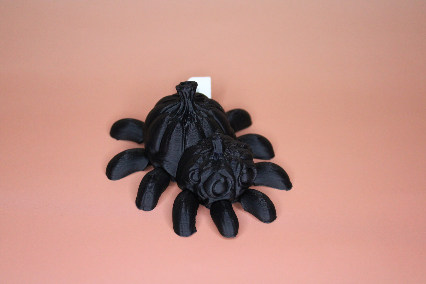 Pumpkin Spider Fidget