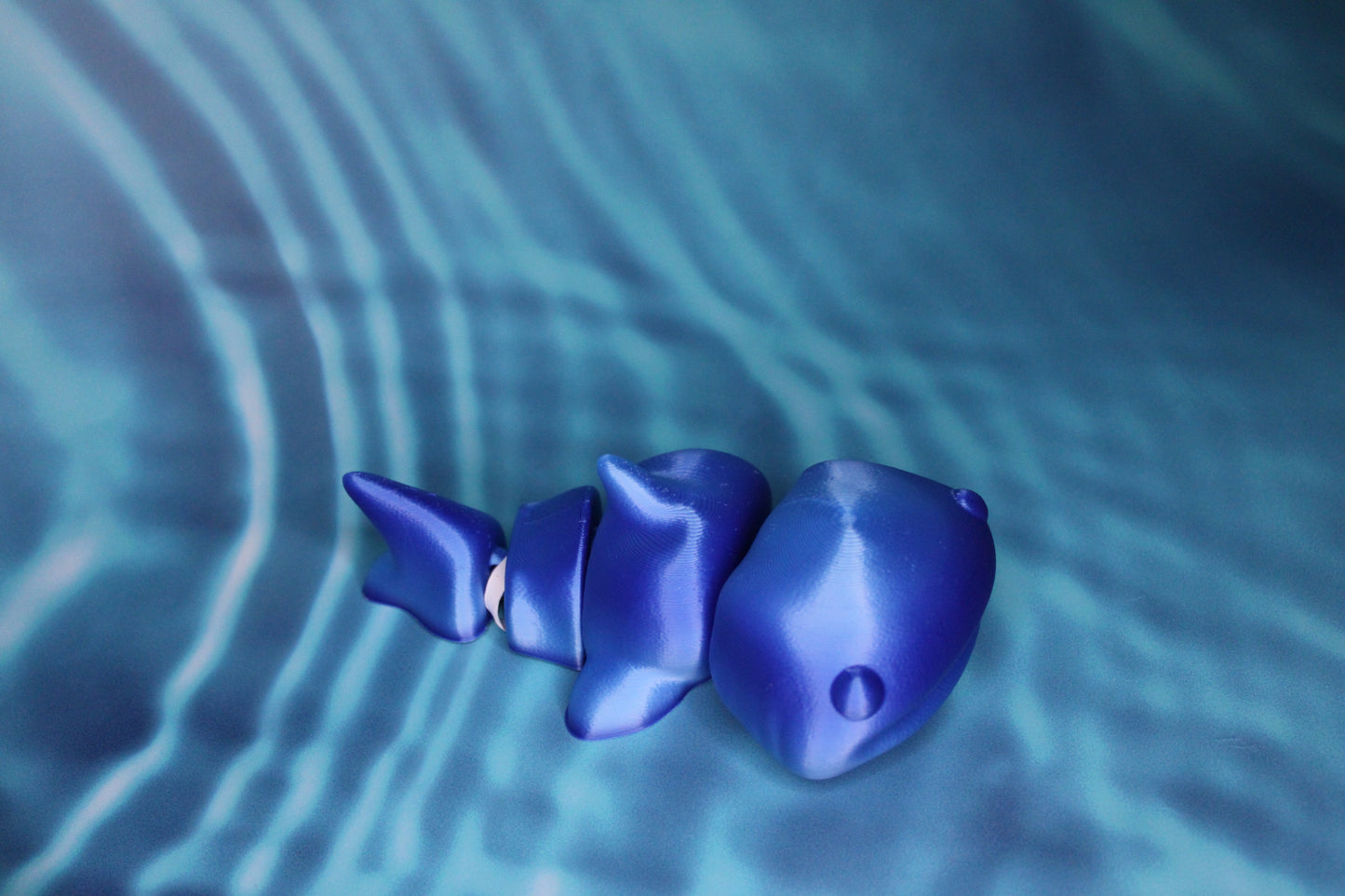 Whale Shark Fidget