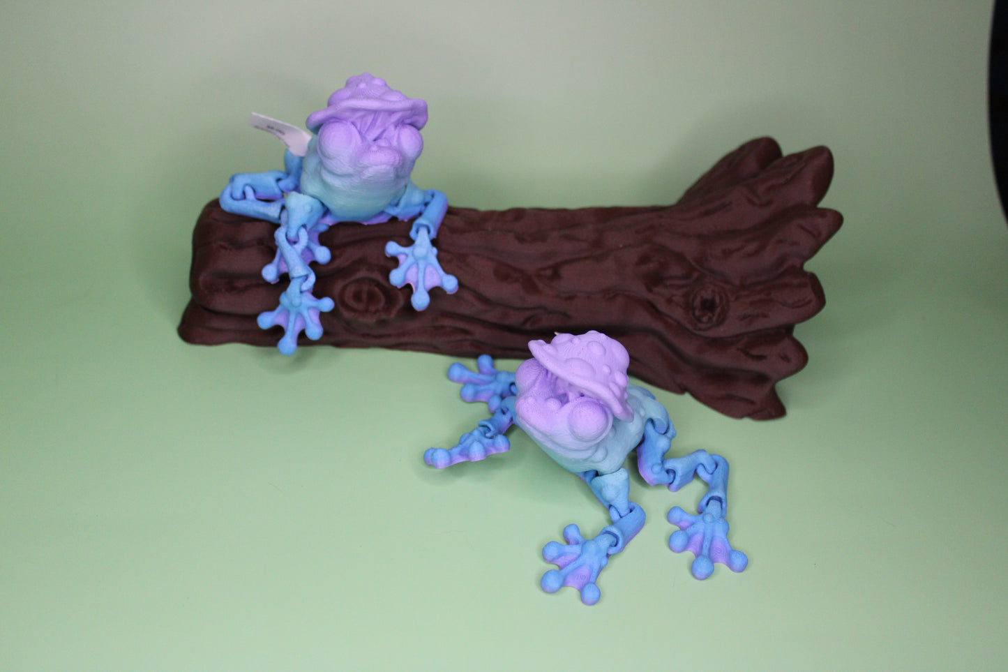 Mushroom Frog Fidget
